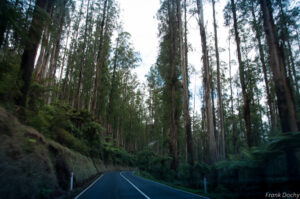 Dag.9-Melbourne-Wangaratta-6