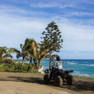Dag 14, 16/03 Oahu
