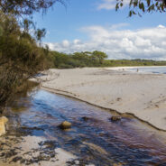 Dag 17, 25/03 Jervis Bay – Eden