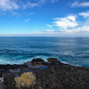 Dag 19, 27/03 Yanakie – Mornington