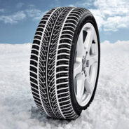 Koning winter terug in het land