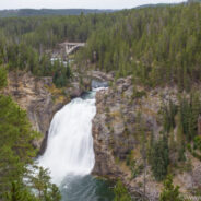 Dag 5, 26/08 Yellowstone NP – Upper Loop