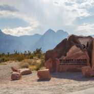 Dag 20, 10/09 Williams – Pahrump