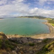 Dag 5, 25/01 Auckland – Paihia