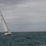 Dag 6, 26/01 Paihia: Bay of Islands