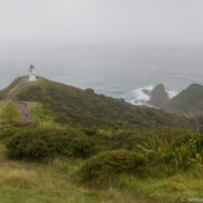 Dag 7, 27/01 Paihia: Cape Reinga