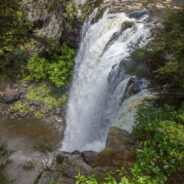 Dag 8, 28/01 Paihia – Tuakau