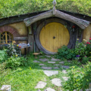 Dag 9, 29/01 Tuakau – Rotorua