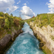 Dag 11, 31/01 Rotorua – Taupo