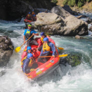 Dag 12, 01/02 Taupo – Wellington