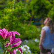 Dag 13, 02/02 Wellington