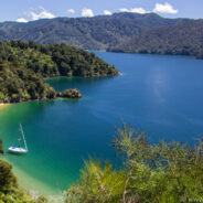 Dag 14, 03/02 Wellington – Nelson