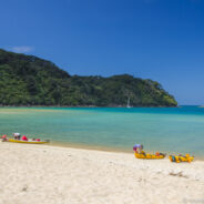 Dag 15, 04/02 Nelson – Abel Tasman