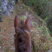 Dag 14, 18/09 Molokai