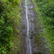 Dag 4, 08/09 Oahu – Manoa Falls