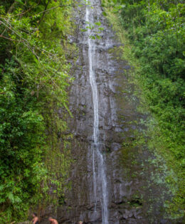 Dag 4, 08/09 Oahu – Manoa Falls
