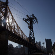 Dag 7, New York – Central Park