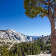 Dag 17, 15/7 Bishop – Yosemite