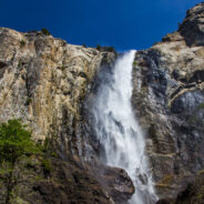 Dag 19, 17/7 Yosemite