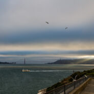 Dag 22, 20/7 Napa – San Francisco