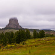 Dag 5, 3/7 Custer –  Billings