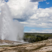 Dag 7, 5/7 Yellowstone: lower loop
