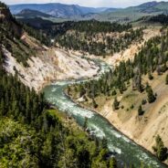 Dag 8, 6/7 Yellowstone: upper loop