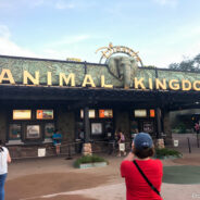 Dag 5, 27/10 Disney: Animal Kingdom
