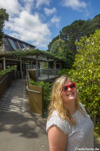 NZ2016.NorthIsland-109