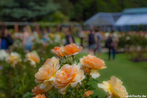 NZ2016.NorthIsland-112