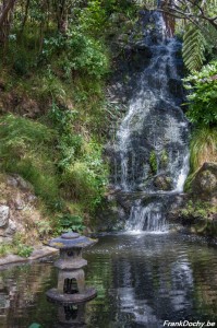 NZ2016.NorthIsland-114