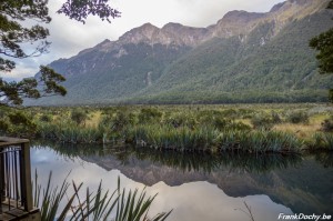 NZ2016.SouthIsland-108