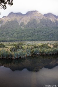 NZ2016.SouthIsland-109