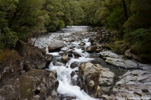 NZ2016.SouthIsland-119
