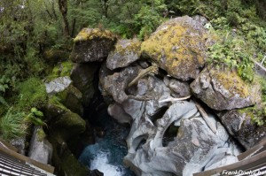 NZ2016.SouthIsland-120