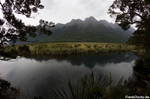 NZ2016.SouthIsland-121