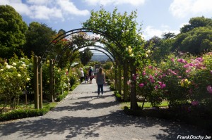 NZ2016.SouthIsland-134