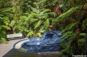 NZ2016.SouthIsland-88