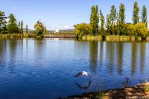 Australia-144