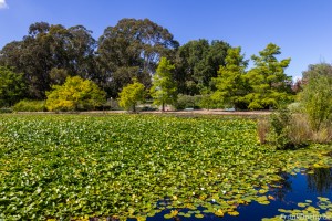 Australia-145